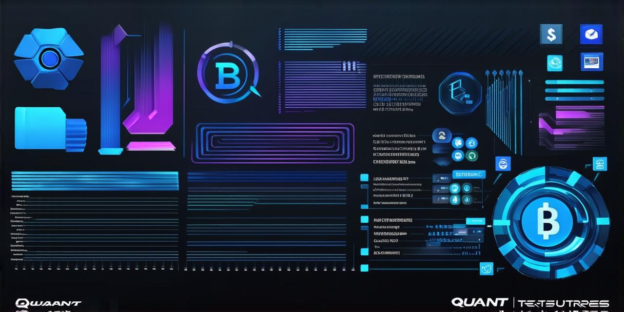 What is Quant in cryptocurrency?